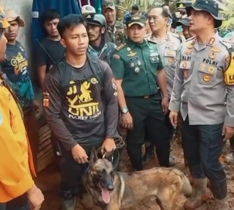 Polda Jawa Barat Kerahkan Anjing Pelacak Cari Korban Longsor di Bandung Barat