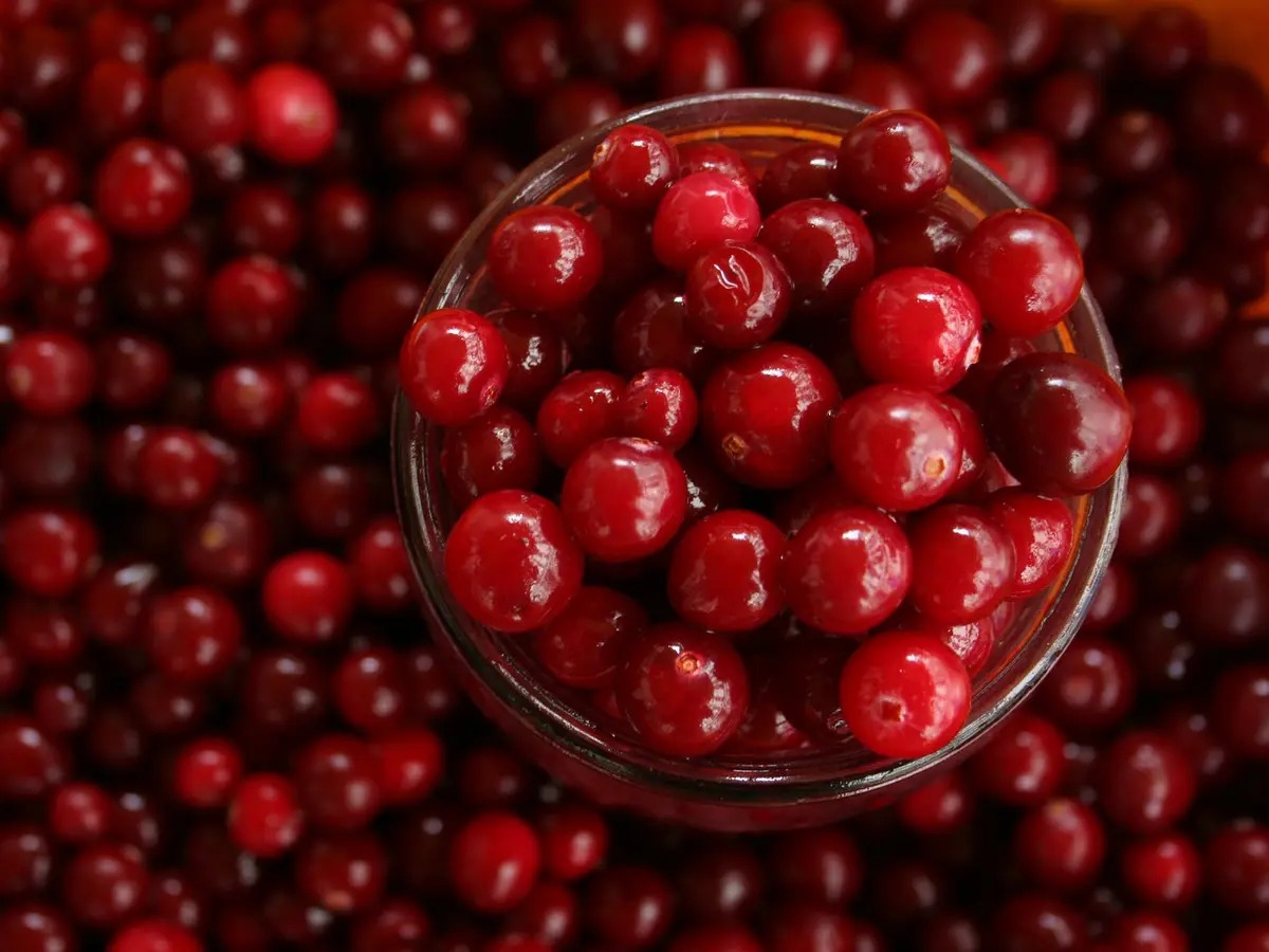 Jarang Diperhatikan, Ini Sederet Khasiat Jus Cranberry yang Baik bagi Tubuh