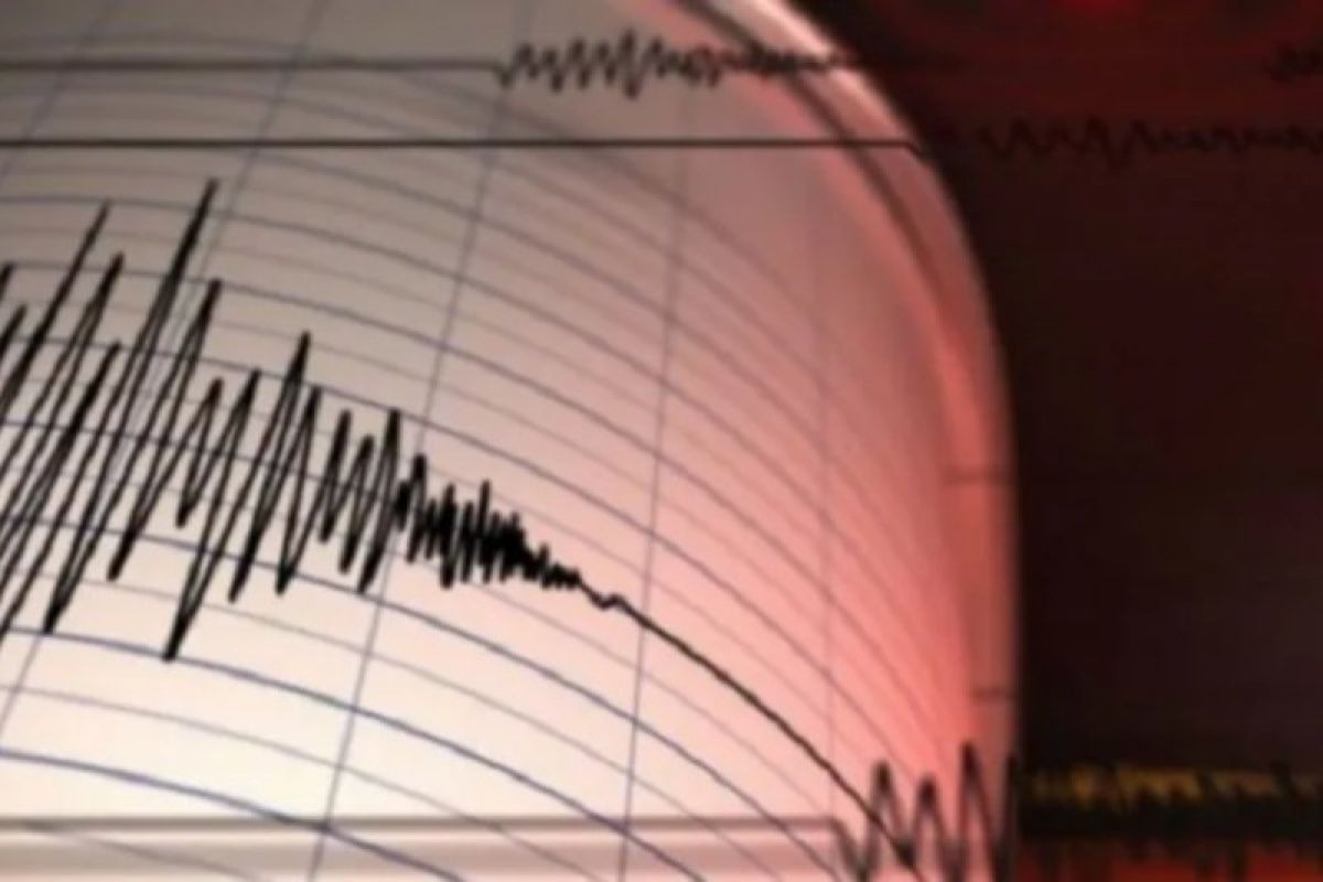 Gempa Bumi Bermagnitudo 3.0 Guncang Tambrauw, Papua Barat