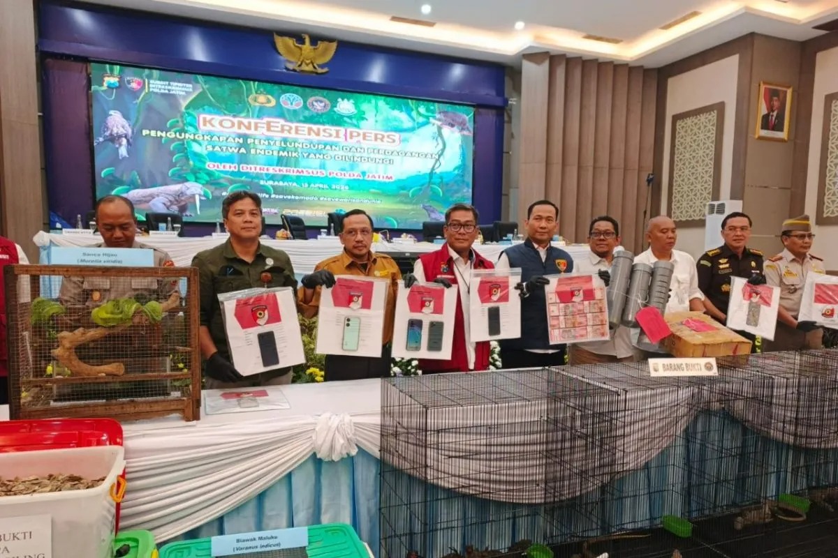 Polda Jatim Gagalkan Penyelundupan Satwa Dilindungi, 11 Tersangka Diringkus