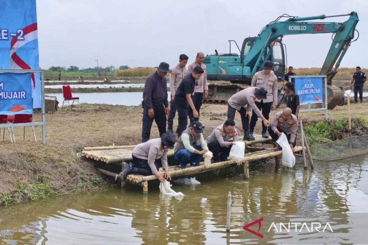 Polda Metro tebar bibit ikan di Tambak Muara Gembong Bekasi dukung program ketahanan pangan.