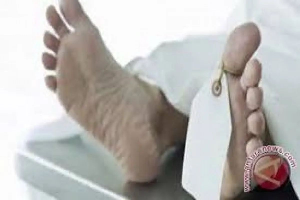 Polda Metro Jaya Ungkap Motif Pembunuhan Mantan Istri di Tangsel