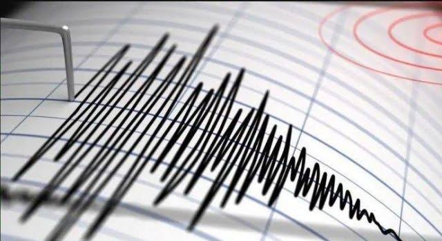 Gempa Bumi Bermagnitudo 3.6 Guncang Daruba, Maluku Utara