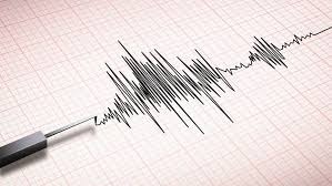 Gempa Bumi Bermagnitudo 3.9 Guncang Ternate, Maluku Utara