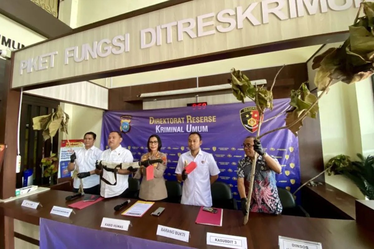 Polda Kepri Tangkap Pelaku Penebangan Liar Ratusan Pohon di Batam