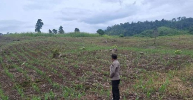 Polri Lakukan Pendampingan Ketahanan Pangan dengan Monitoring Lahan Cabai Keriting di Desa Lunjuk