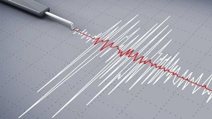 Gempa Bumi Bermagnitudo 3,4 Guncang Sarmi, Papua