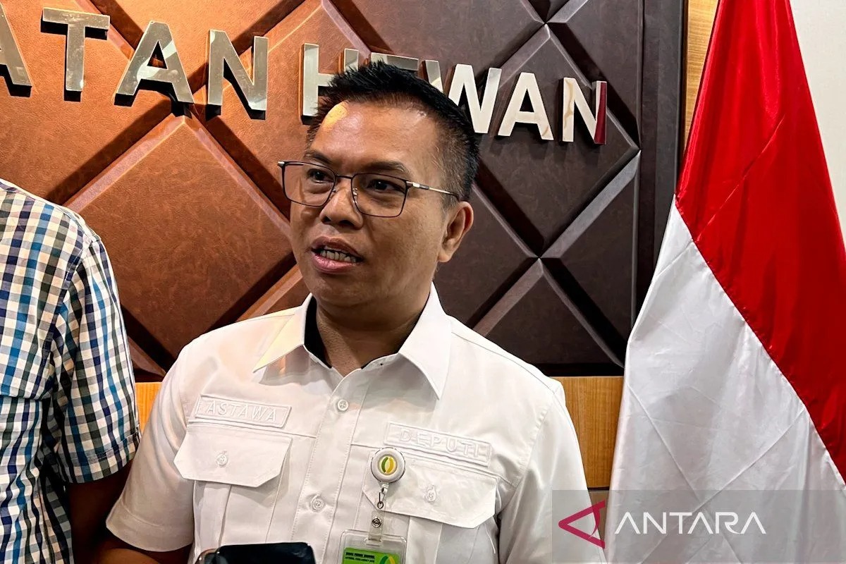 Bapanas: Pasokan Cabai Rawit Nasional Terjaga, Harga Berangsur Turun