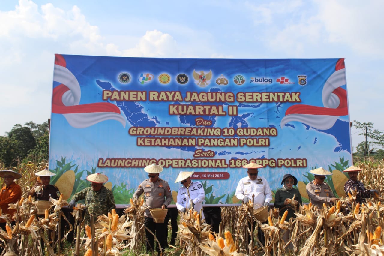 Pemprov Sultra Apresiasi Panen Raya Jagung Polda Sultra Dukung Ketahanan Pangan Nasional