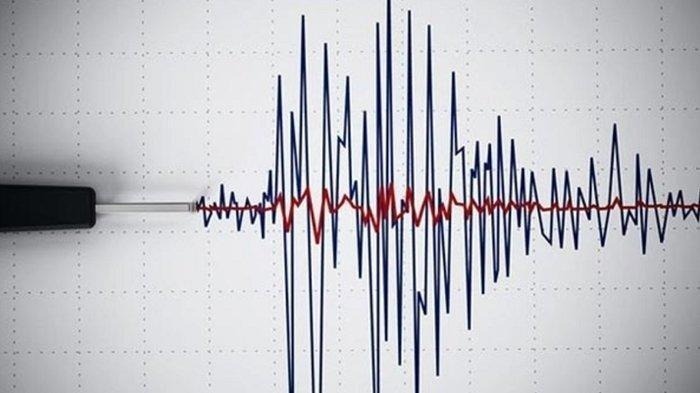 Gempa Bumi Bermagnitudo 3.4 Guncang Membramo Tengah, Papua