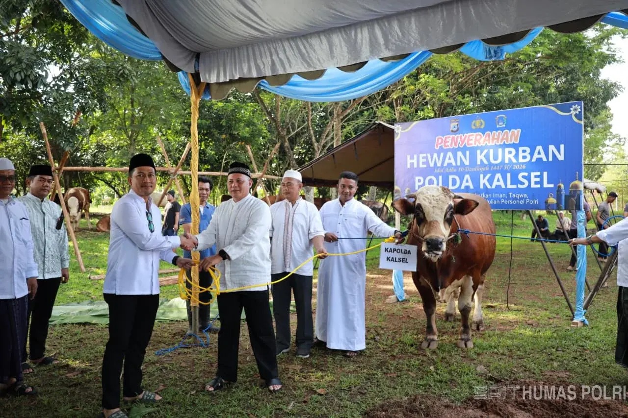 Distribusi 159 Hewan Kurban: Polda Kalsel Padukan Ibadah dan Jaga Stabilitas Kamtibmas