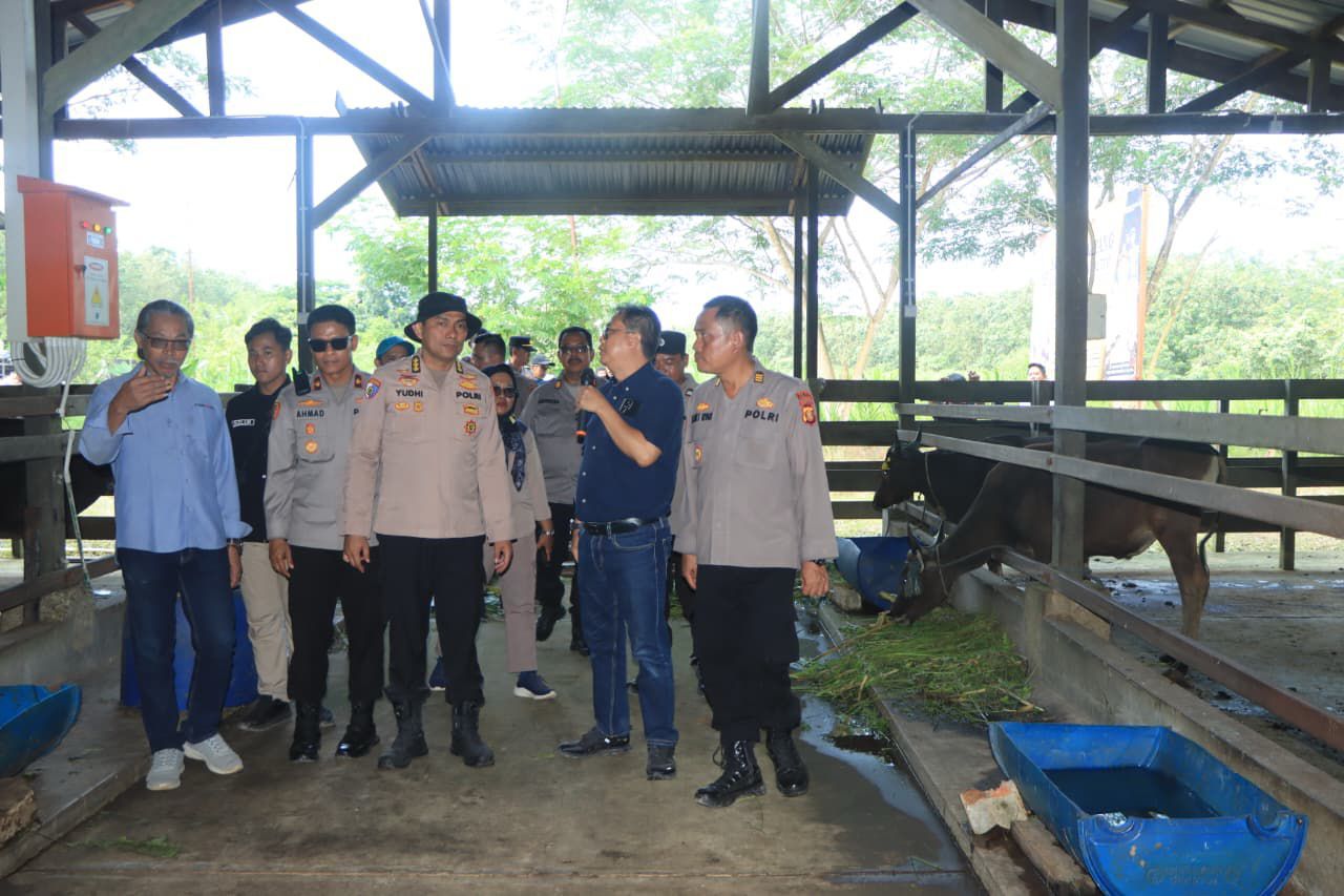 Tim Itwasda Polda Kaltim Pastikan Program Peternakan Sapi Industrial Farming