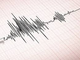 Gempa Bumi Bermagnitudo 3.0 Guncang Seram Bagian Barat, Maluku