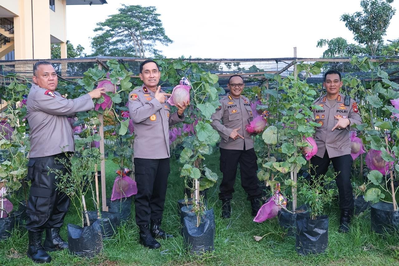 Polda Kalbar Kembangkan Budidaya Melon untuk Dukung Program Ketahanan Pangan