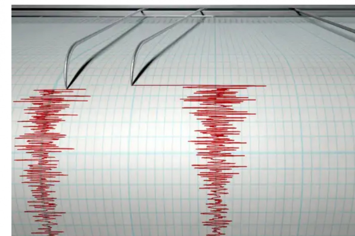 Gempa Bumi Bermagnitudo 3,0 Guncang Bitung, Sulawesi Utara