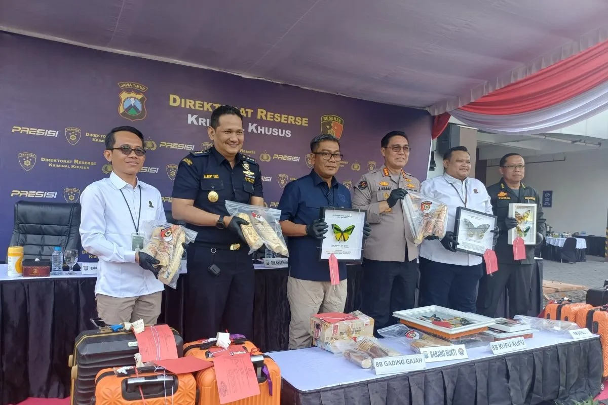 Polda Jatim Gagalkan Penyelundupan Satwa Dilindungi, 4 Tersangka Diringkus