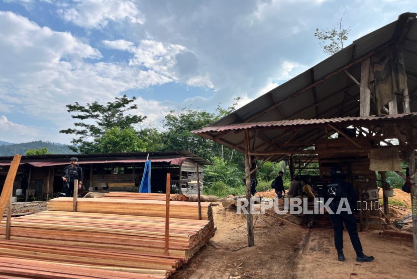 Polda Riau Perketat Penindakan Illegal Logging demi Jaga Kelestarian Hutan
