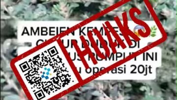 [HOAKS] Daun Patikan Cina Dapat Sembuhkan Ambeien Tanpa Operasi
