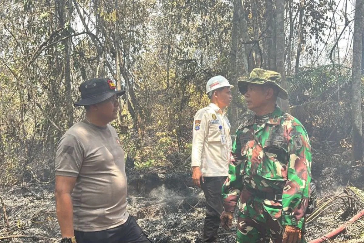 Polda Kaltara Tangani Titik Api Baru di Lahan 11,5 Hektare