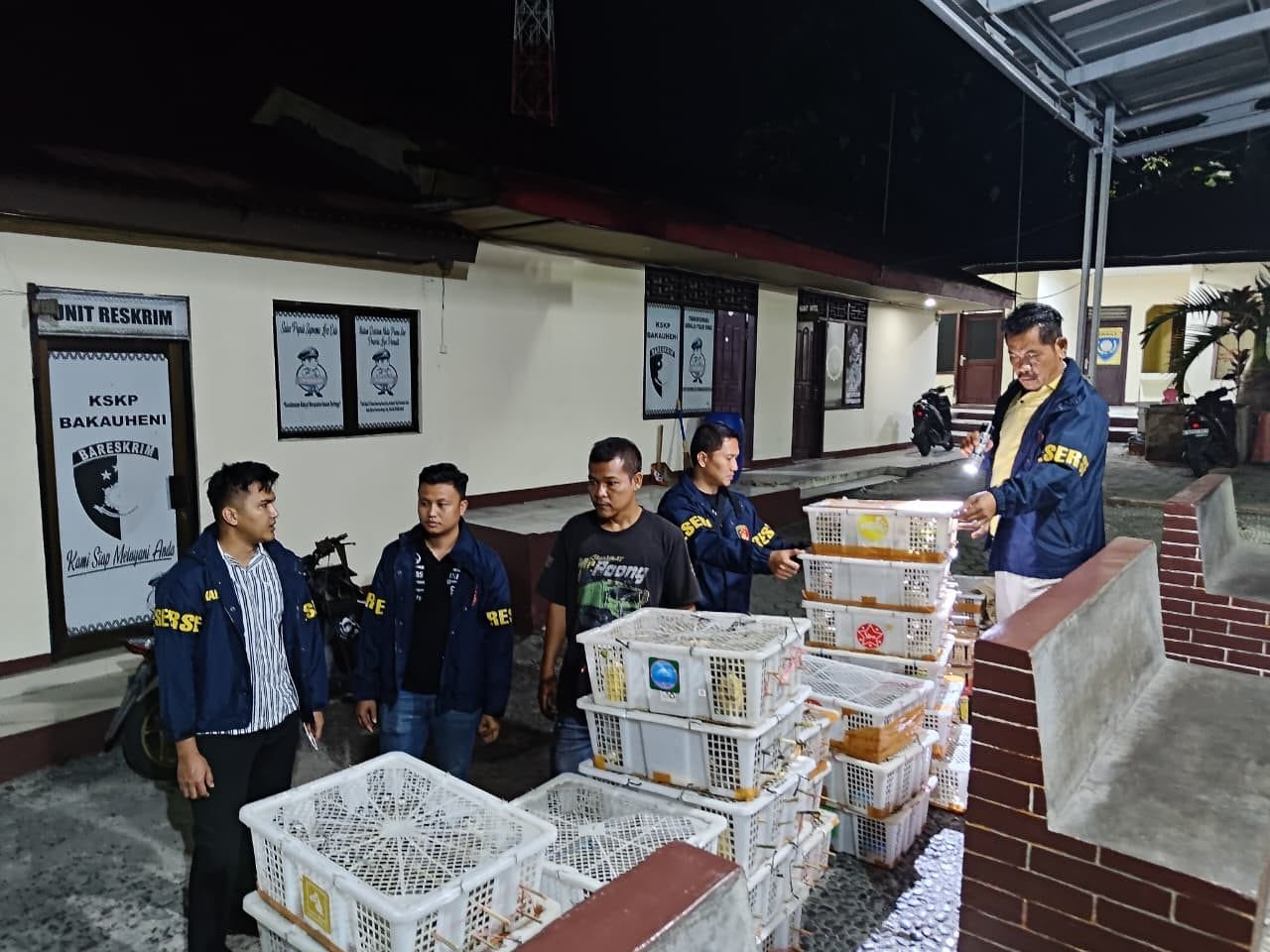 Polisi Gagalkan Modus 1.106 Burung Disembunyikan di Truk Sapi