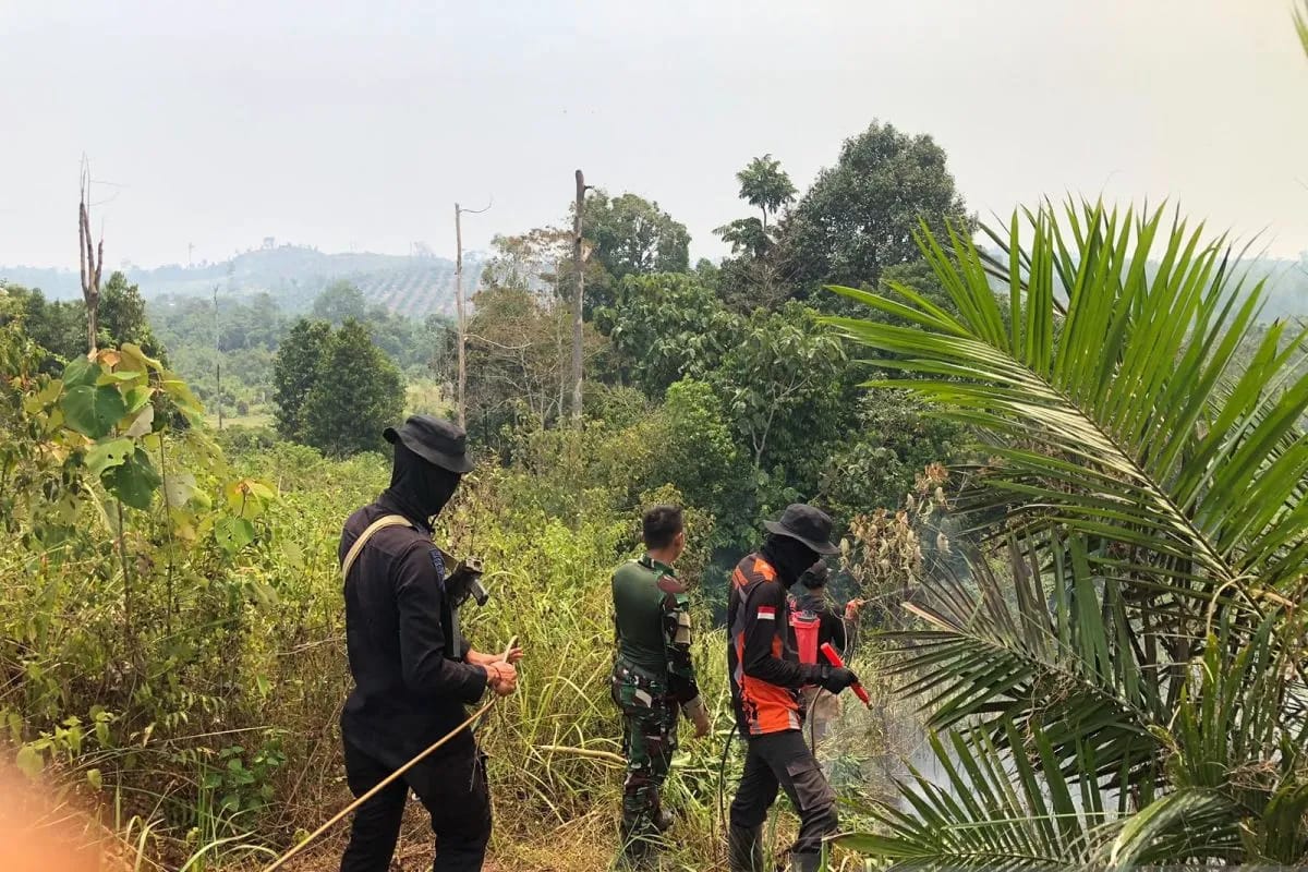 Jaga Habitat Gajah Sumatera dari Karhutla, Brimob Polda Jambi Rutin Patroli Kawasan Tebo