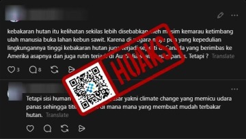[HOAKS] Kebakaran Hutan di Kalimantan Disebabkan oleh Penguapan Batu Bara