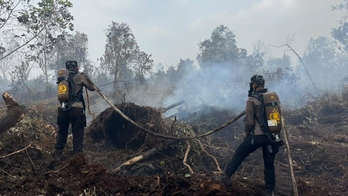 Riau Hari Ini Zero Karhutla, Polda Riau Tegaskan Patroli Tetap Siaga