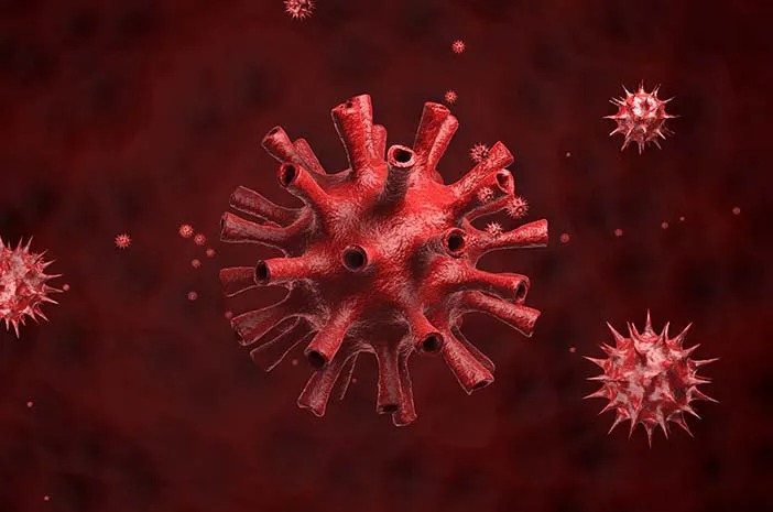 Inilah Tanda Flu Babi dan Cara Mengatasinya