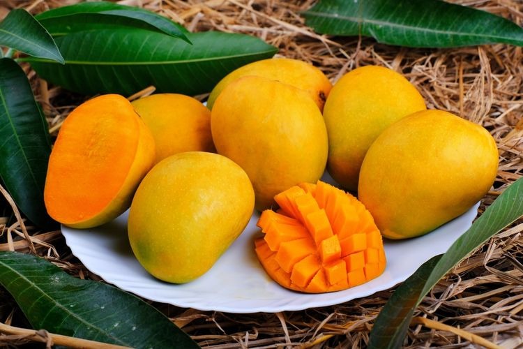 buah mangga