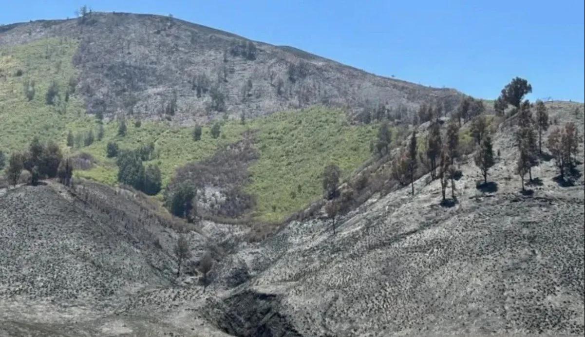 police-continues-to-process-bromo-wildfire-suspect-case-file-handed-over-to-prosecutors-office