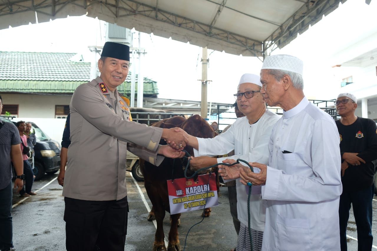 inp-chief-donates-a-limousine-cattle-for-the-commemoration-of-haul-alalammah-in-martapura