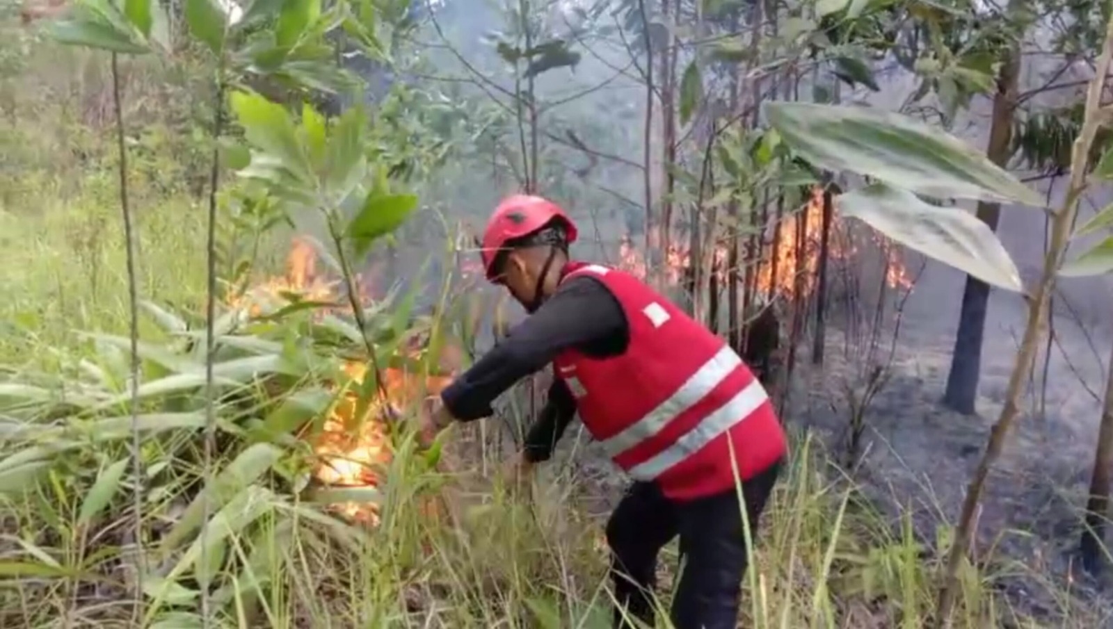 Bersama BPBD, Tim Respons Bencana Batalyon A Pelopor Brimob Polda Kaltim Padamkan Karhutla di Balikpapan