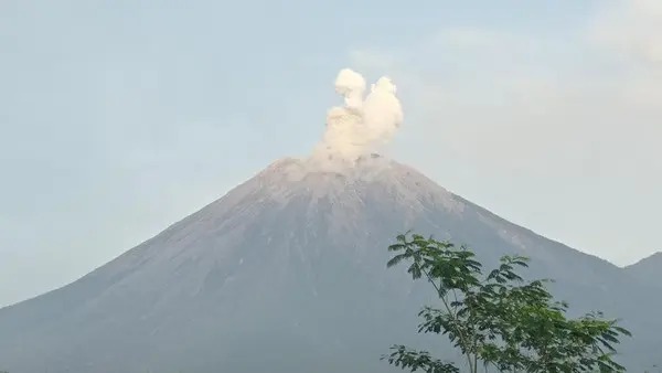 Abu Vulkanik Terlihat Hingga 1.000 Meter Akibat Letusan Gunung Semeru