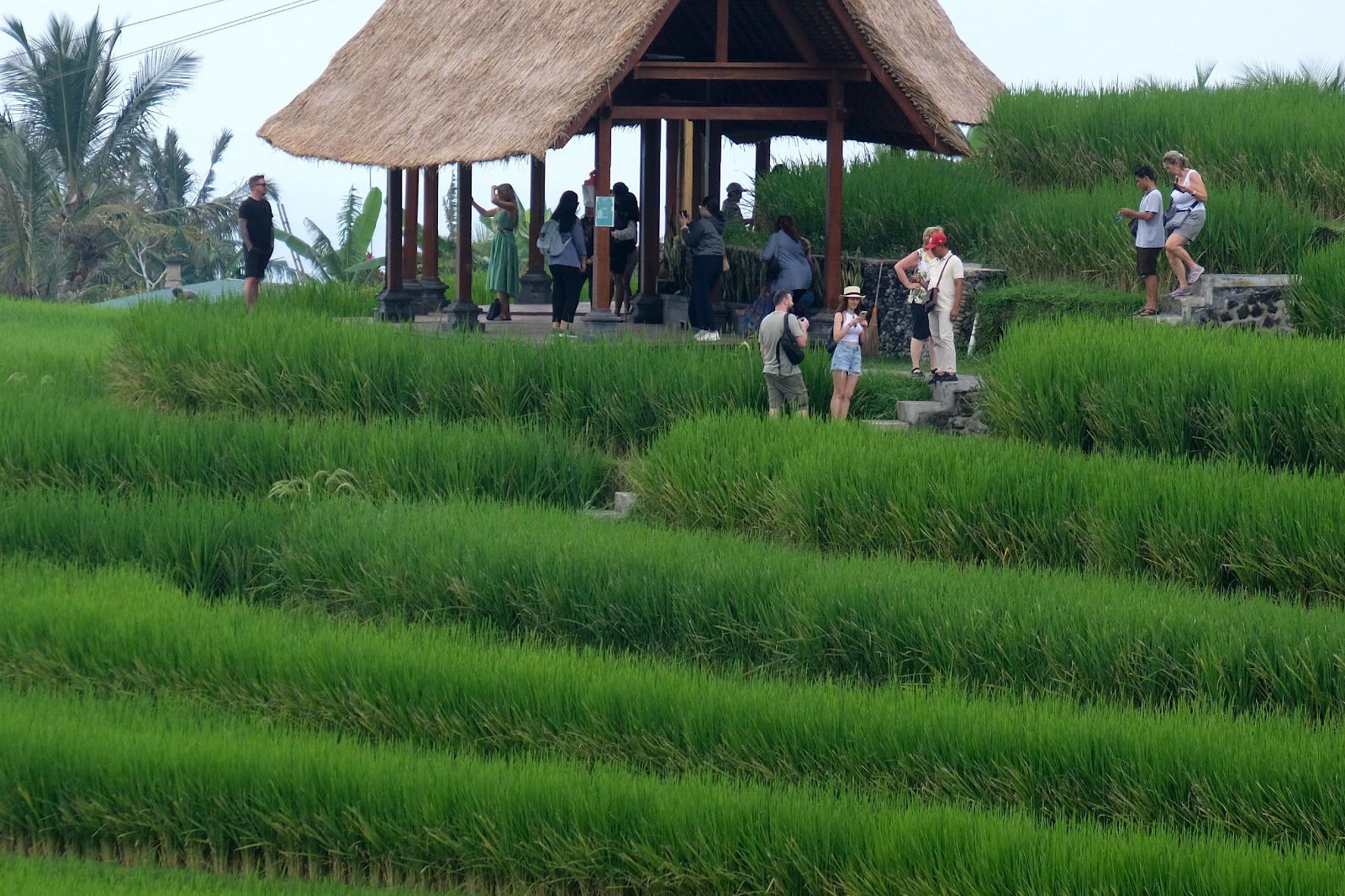 Delegasi Utama World Water Forum Bebas dari Pungutan Wisman