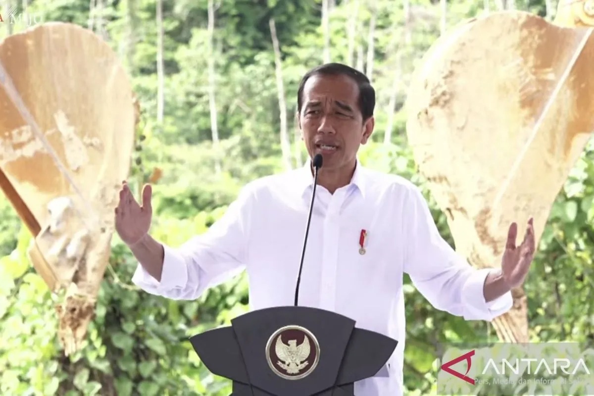 Presiden Jokowi Meyakini Kualitas Udara IKN Lebih Baik dari Melbourne dan Paris