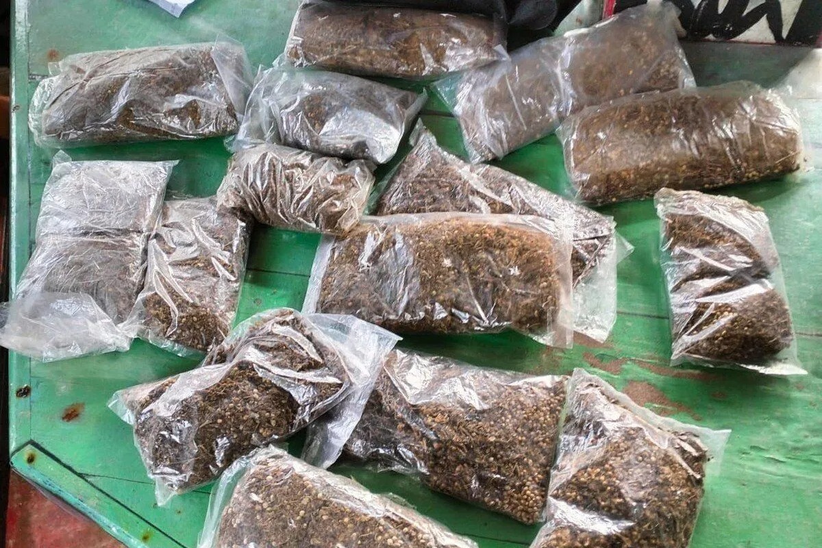 joint-security-forces-thwart-marijuana-delivery-in-indonesia-border-area