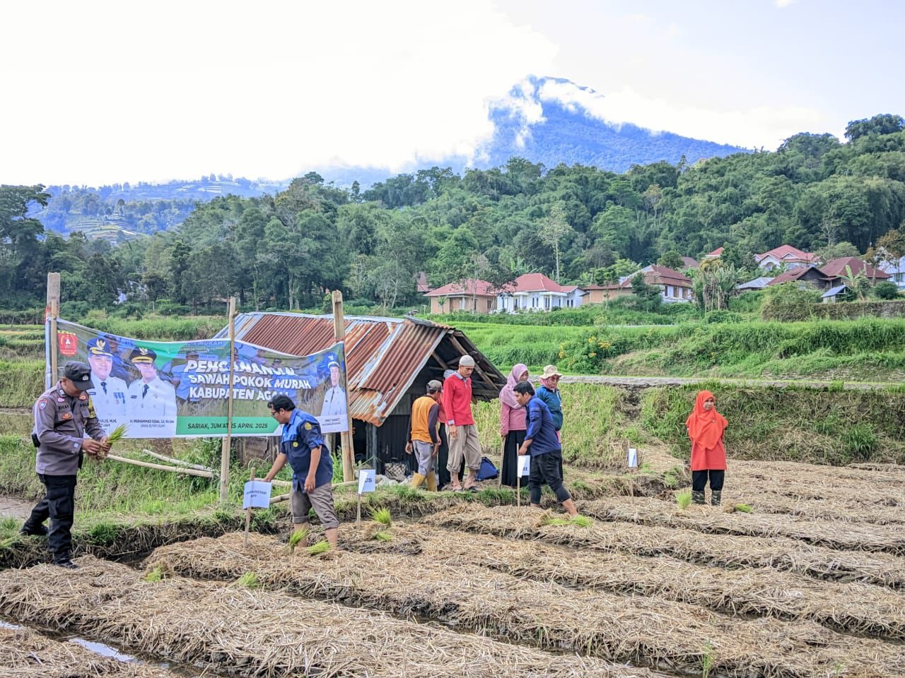Bhabinkamtibmas Polresta Bukittinggi Bantu Warga Tanam Benih Padi Dukung Program Asta Cita Presiden