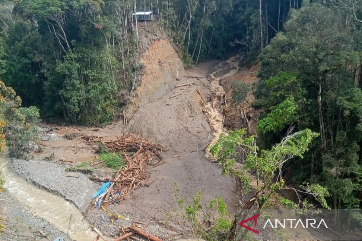 BNPB: 1 Orang Tewas, 19 Warga Hilang Akibat Banjir Bandang di Papua Barat