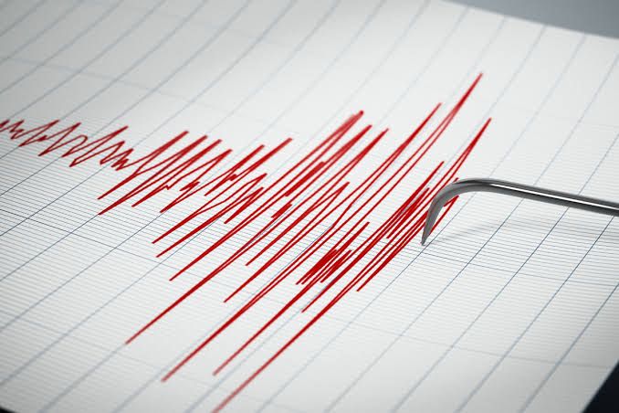 Gempa Berkekuatan Magnitudo 5,0 Guncang Wilayah Jayapura, Papua