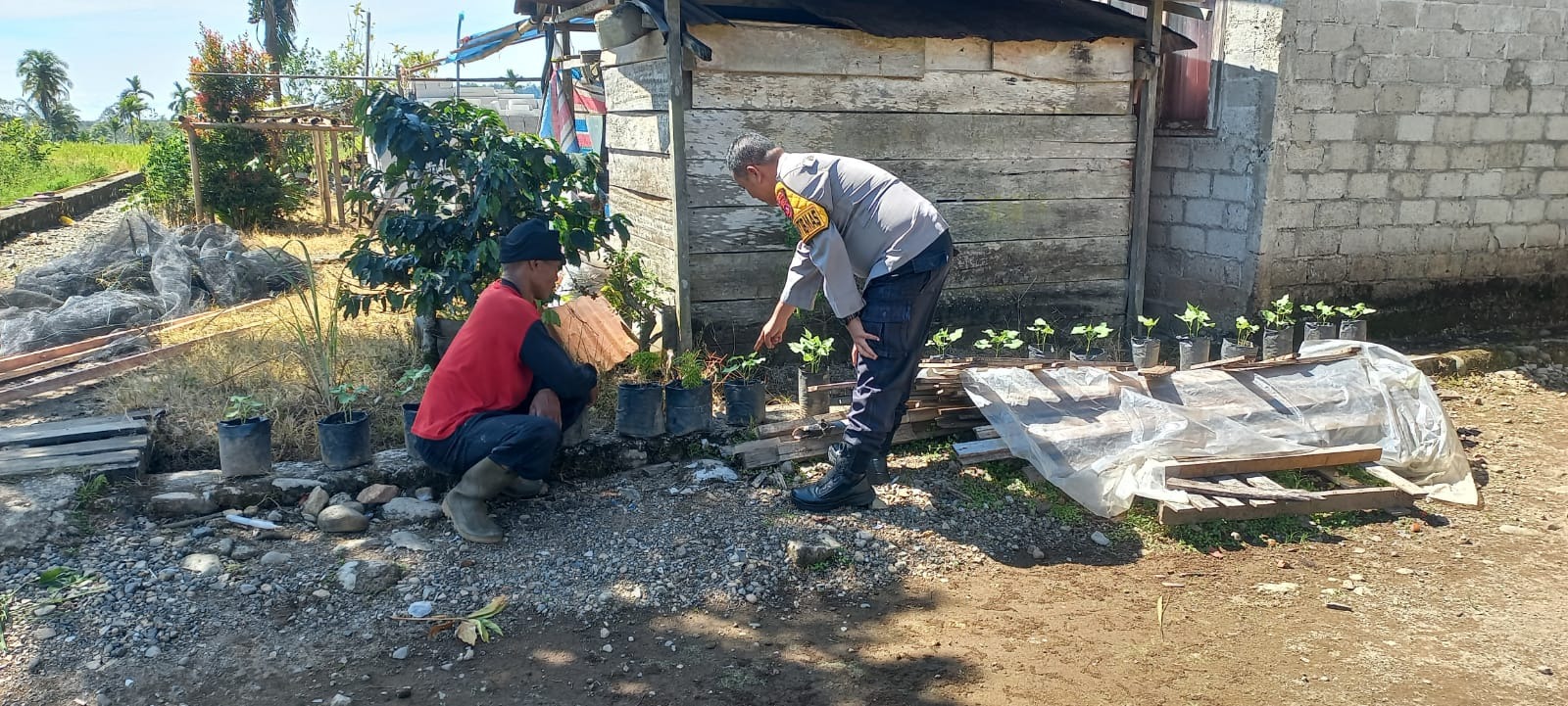 Bripka Rudi Ardi  Sosialisasikan Ketahanan Pangan di Tengah Masyarakat
