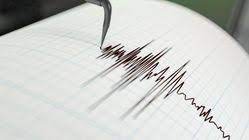 Gempa Bumi Bermagnitudo 3.9 Guncang Wilayah Melonguane, Sulawesi Utara