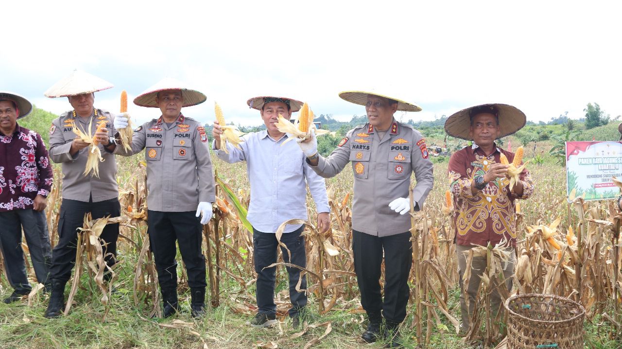 Kapolda Kaltara Hadiri Panen Raya Jagung Serentak di Desa Kelubir “Wujud Komitmen Dukung Swasembada Pangan Nasional"