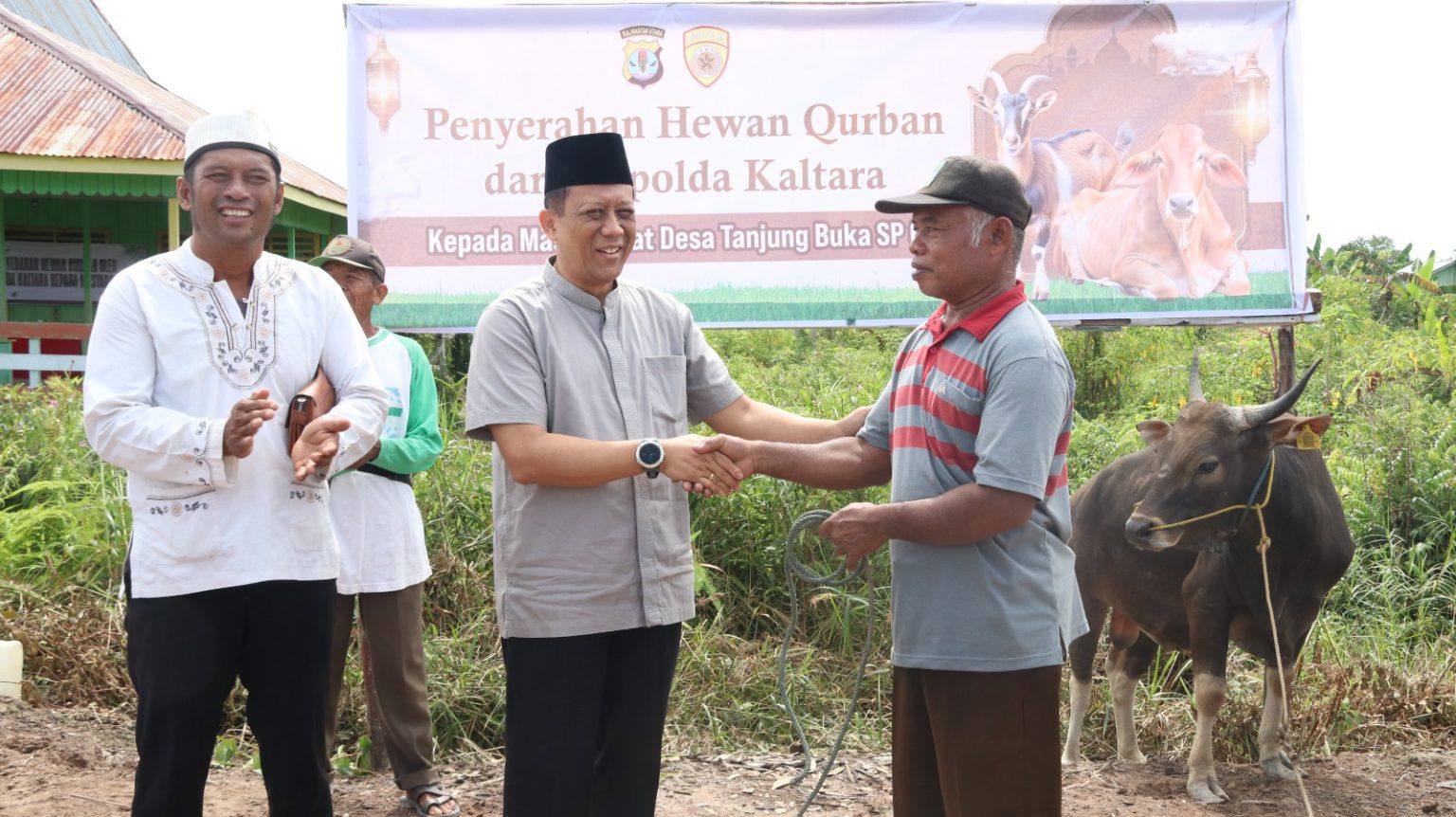 Makna Idul adha, Kapolda Kaltara Serahkan 4 Ekor Sapi Kurban untuk Warga SP 6 hingga SP 9 Tanjung Buka
