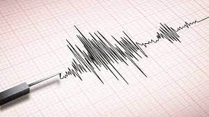 Gempa Bumi Bermagnitudo 4.6 Guncang Wilayah Keerom, Papua