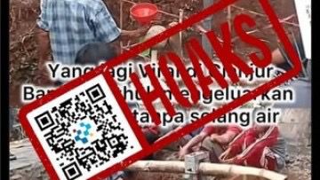 [HOAKS] Bambu Petuk Keluarkan Air Tanpa Alat Bantu