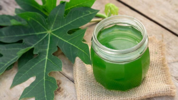 Minum Rebusan Daun Sembarangan Bisa Gagal Ginjal, Benarkah?