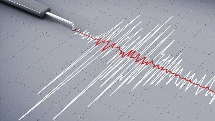 Gempa Bumi Bermagnitudo 4.1 Guncang Wilayah Nabire, Papua