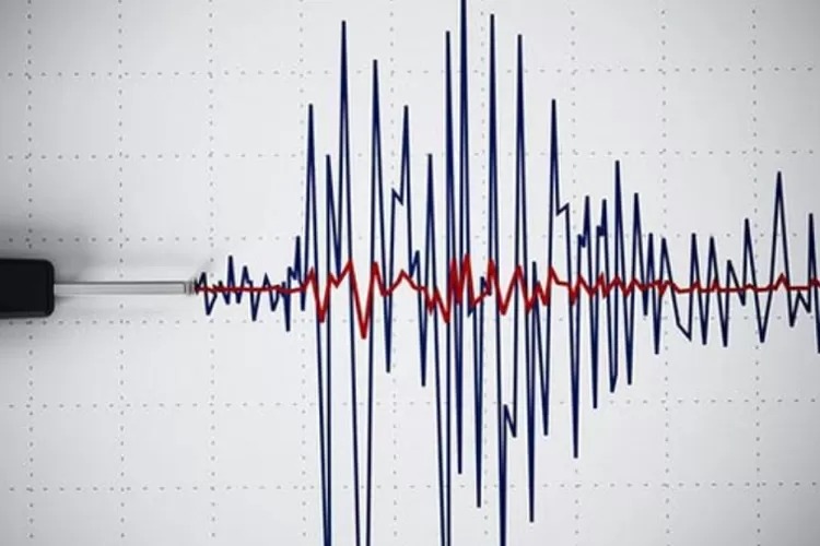 Gempa Bumi Bermagnitudo 4.5 Guncang Wilayah Alor, Nusa Tenggara Timur
