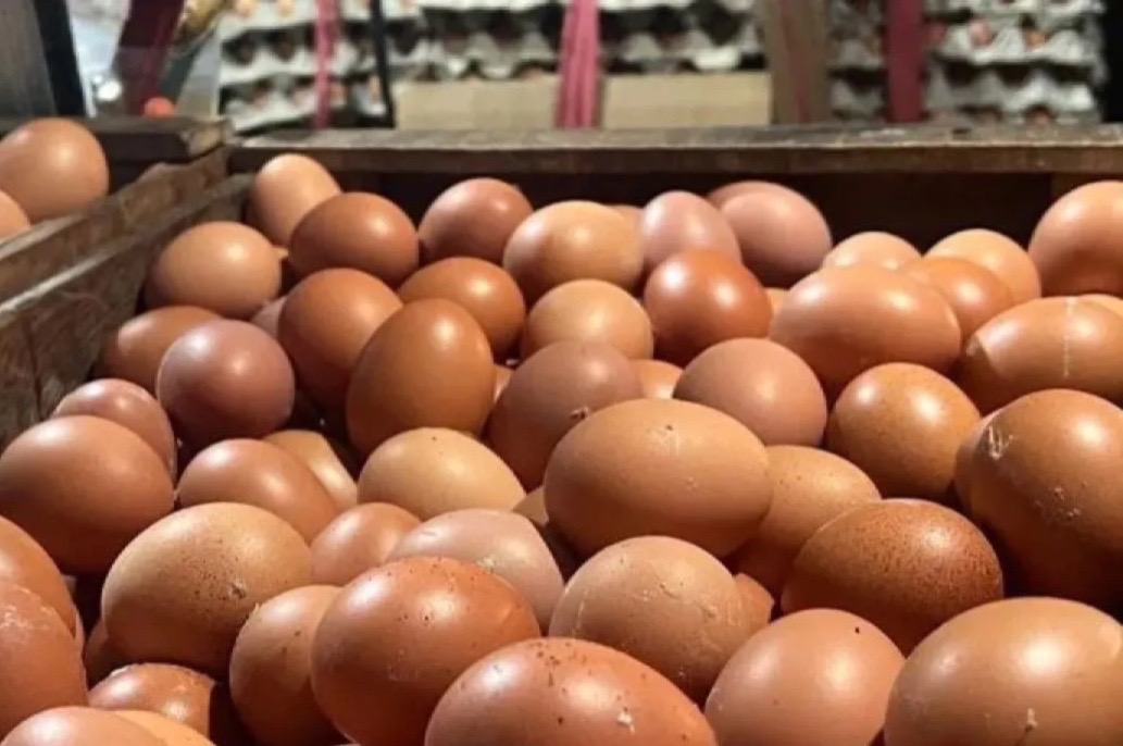 PIHPS Merilis Harga Pangan Hari Ini Cabai Rawit Rp42.700 per kg, Telur Ayam Rp31.450 per Kg