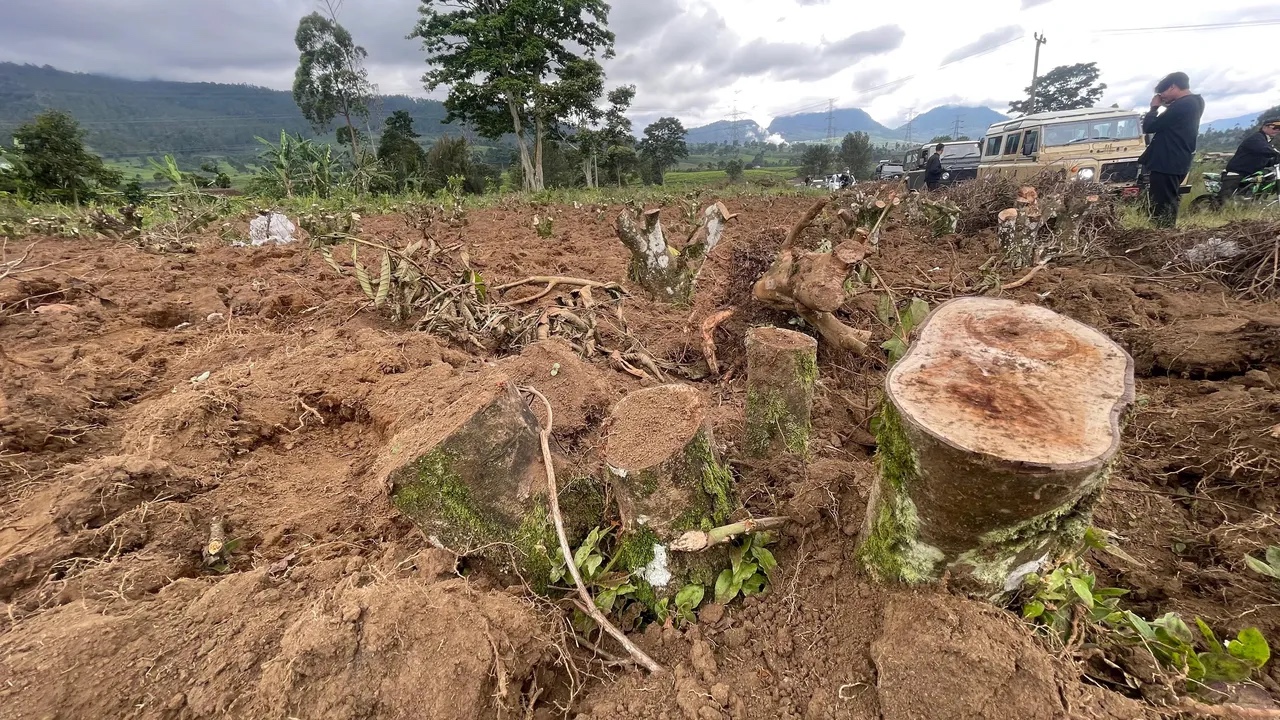 Polisi Buru Perusak 150 Hektare Kebun Teh Pangalengan